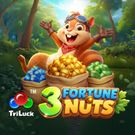3 Fortune Nuts